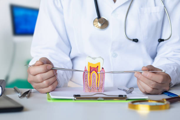 Best Emergency Gum Pain Relief  in Johnston City, IL
